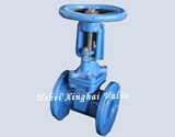 RS STEM BS5163  RESILIENT SEAT GATE VALVE