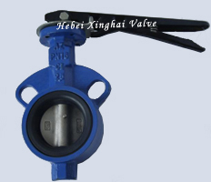 A type butterfly valve