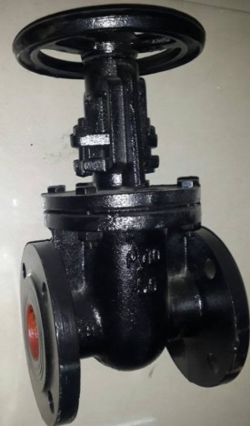 cast iron metal seated gate valve Gost Standard 30466p
