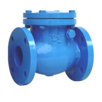 BS4090 (BS5153)Swing Check valve